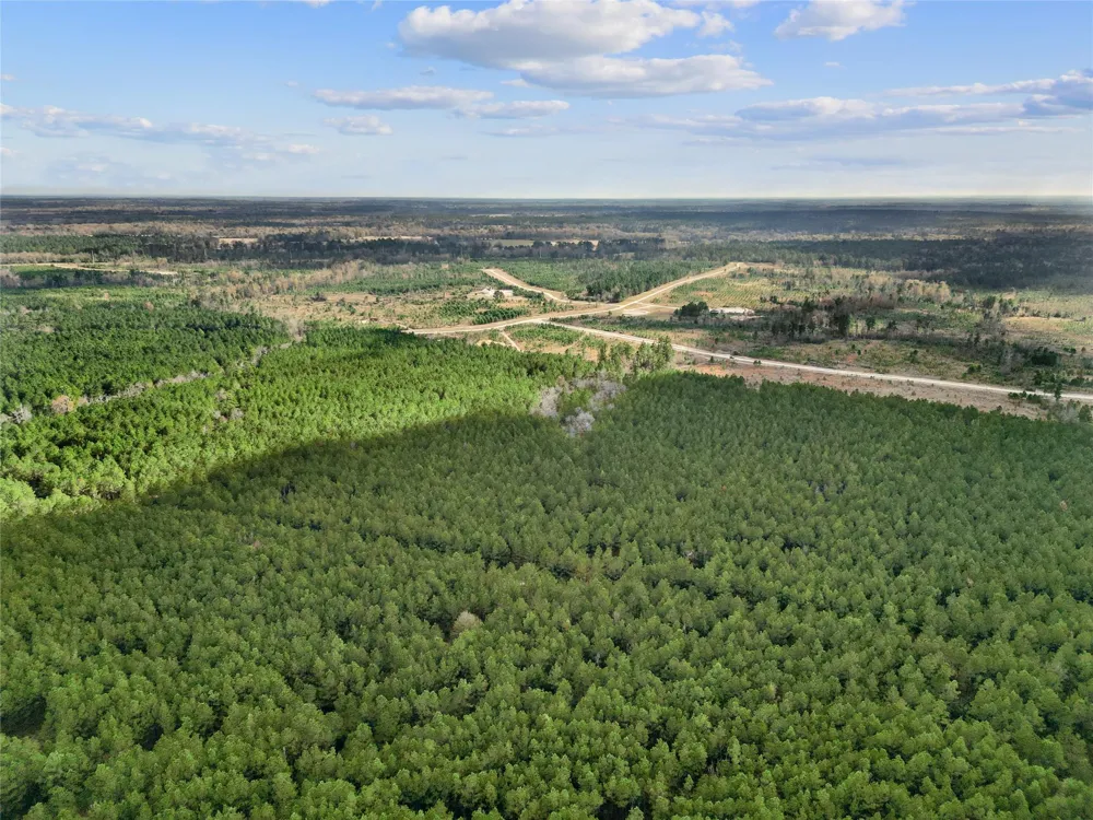 123 Lone Star Ridge Lovelady, TX 77578