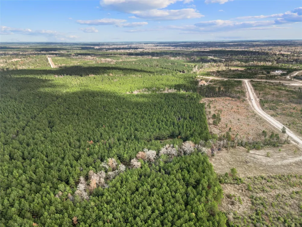 123 Lone Star Ridge Lovelady, TX 77578