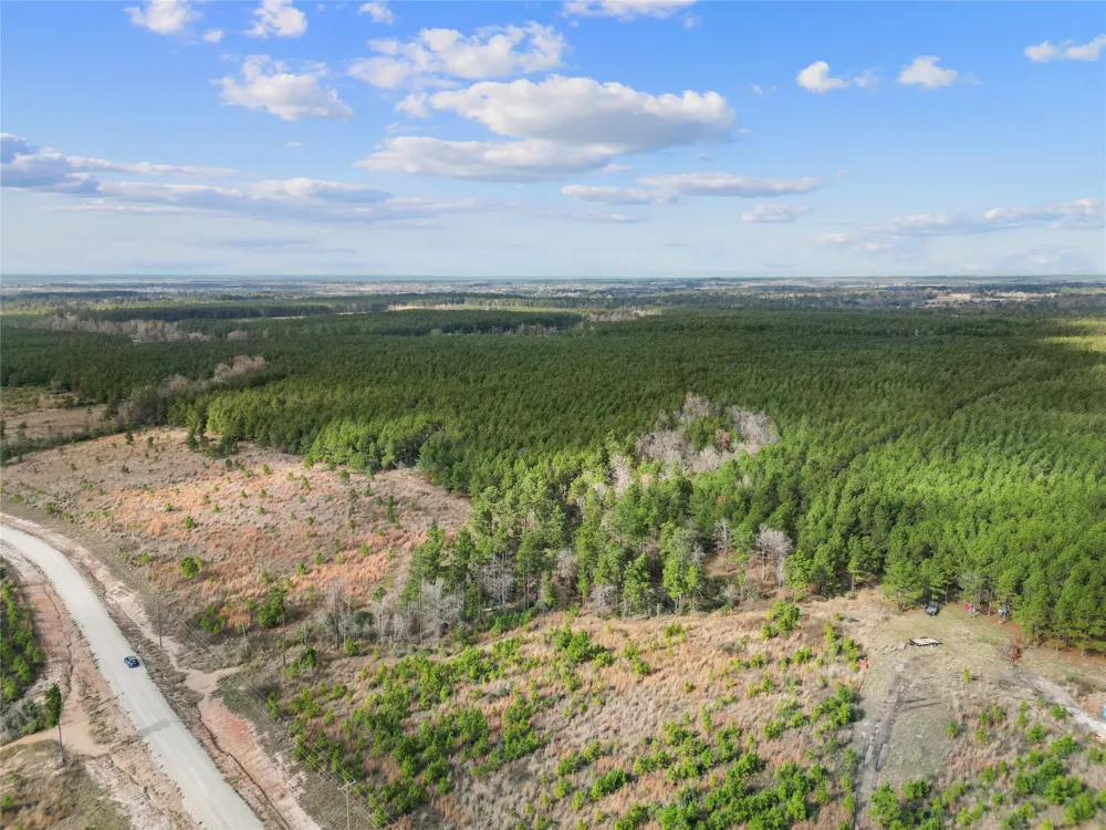 123 Lone Star Ridge Lovelady, TX 77578
