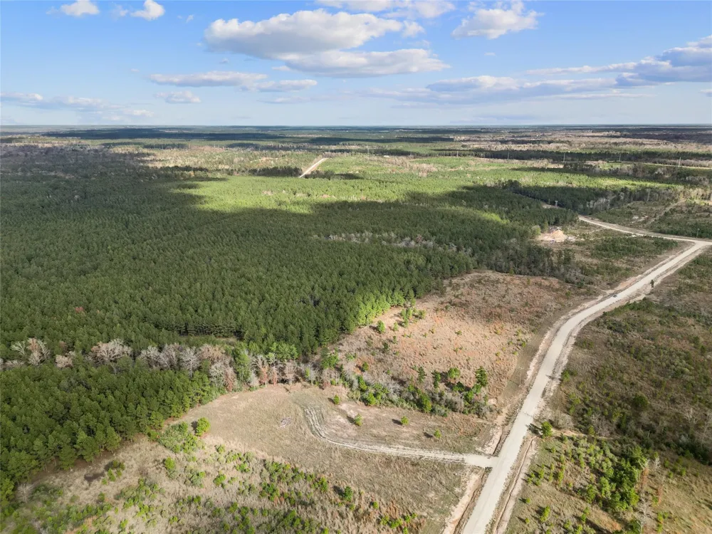 123 Lone Star Ridge Lovelady, TX 77578