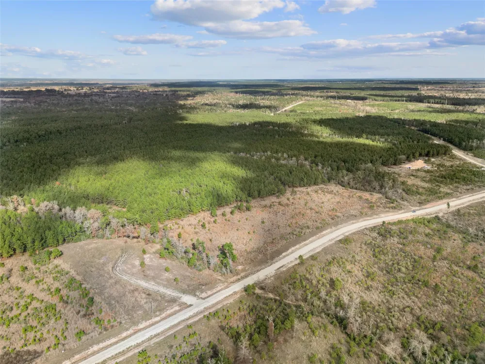 123 Lone Star Ridge Lovelady, TX 77578