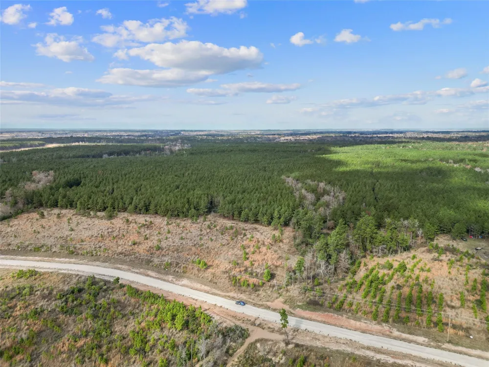 123 Lone Star Ridge Lovelady, TX 77578
