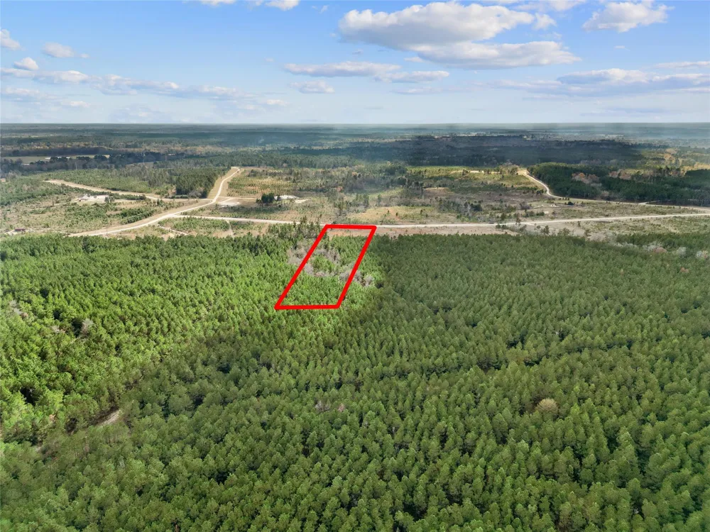 123 Lone Star Ridge Lovelady, TX 77578