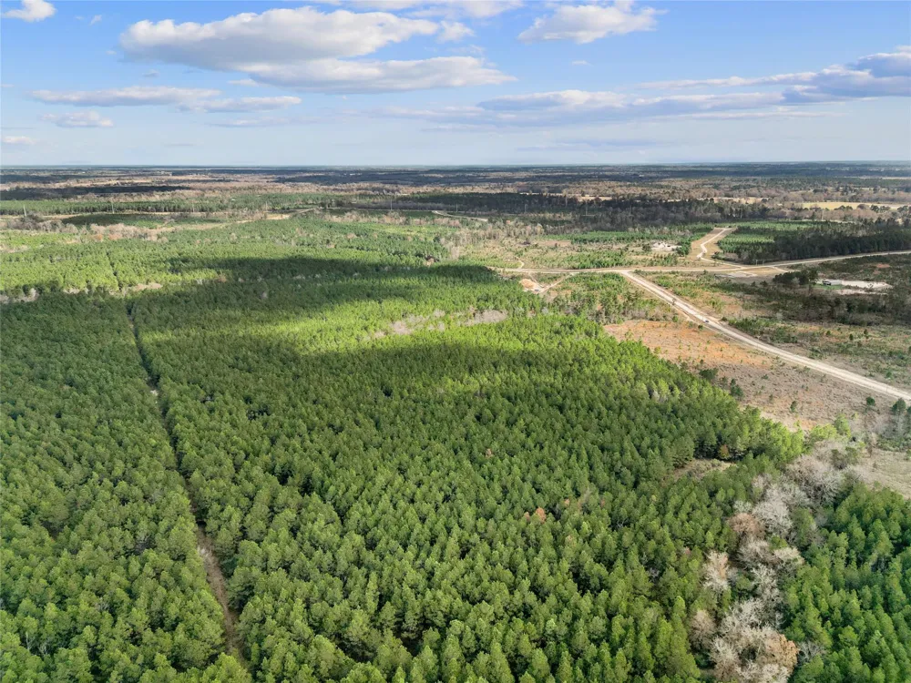 123 Lone Star Ridge Lovelady, TX 77578