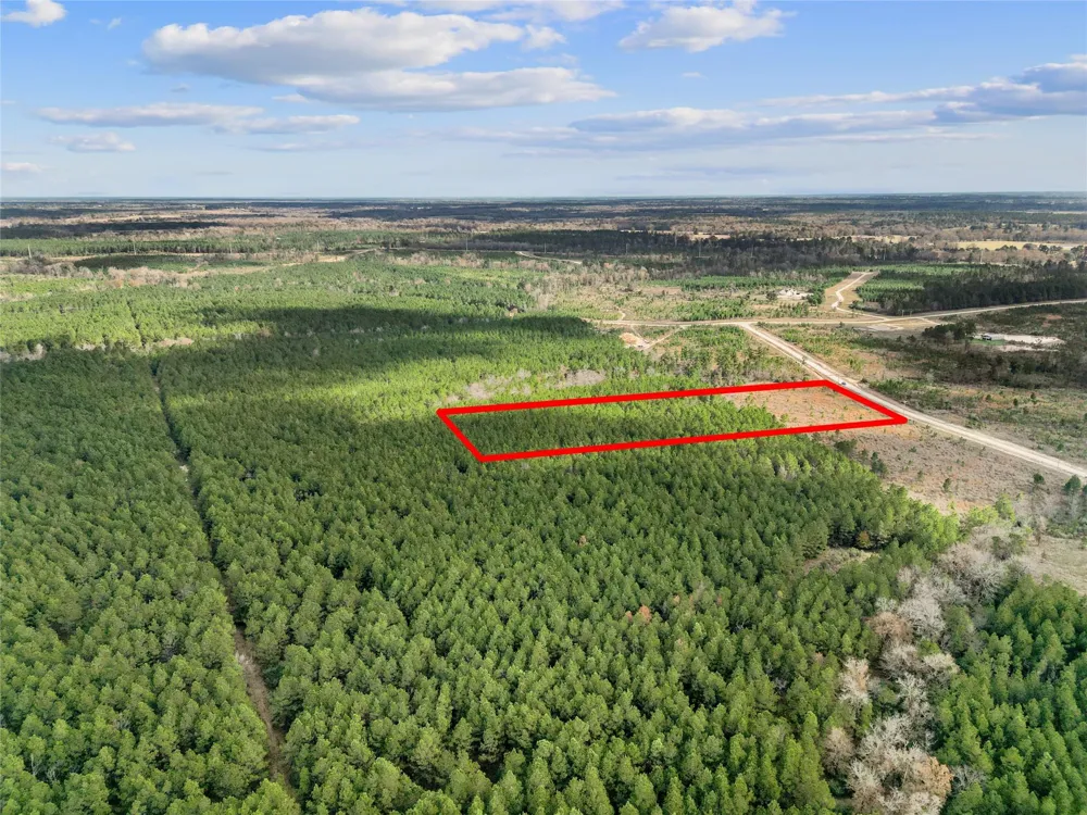 123 Lone Star Ridge Lovelady, TX 77578