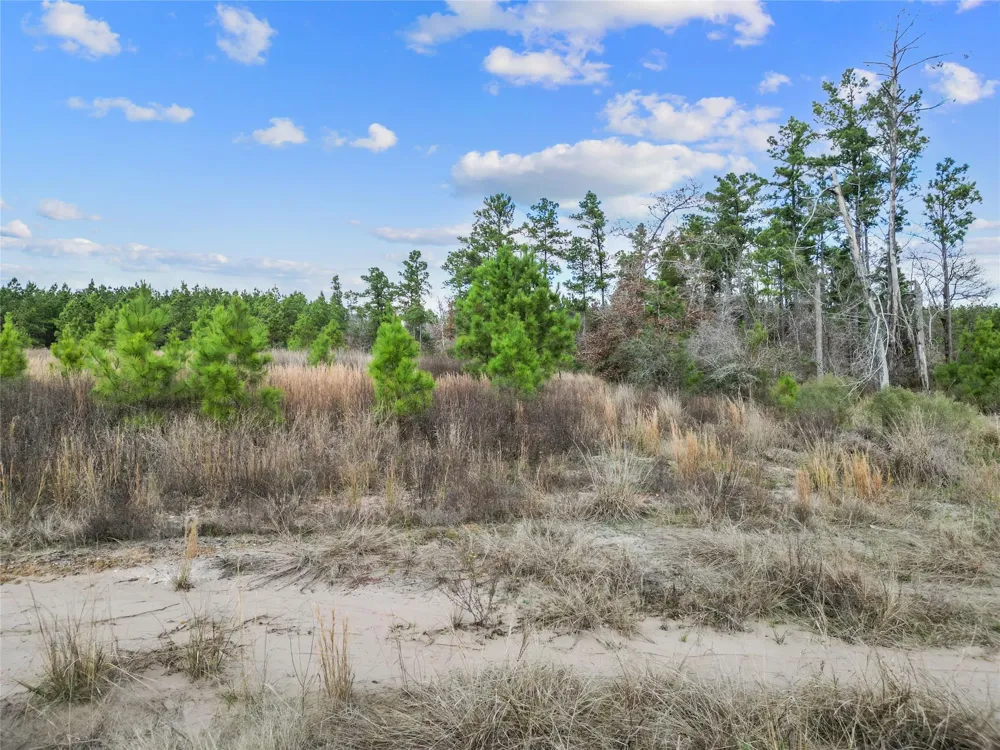 123 Lone Star Ridge Lovelady, TX 77578