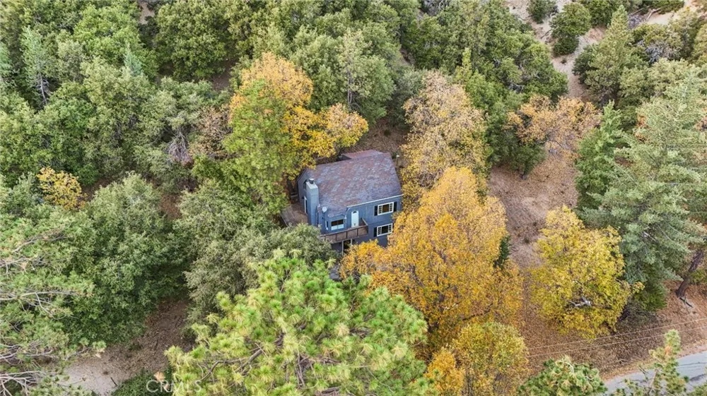 5866 Robin Oak Drive Angelus Oaks, CA 92305