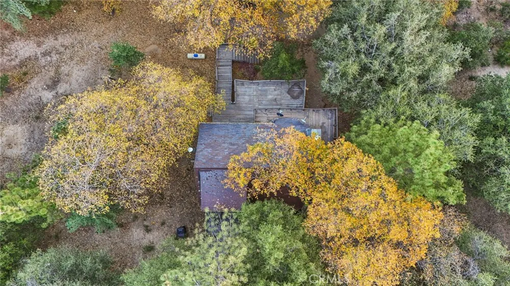 5866 Robin Oak Drive Angelus Oaks, CA 92305