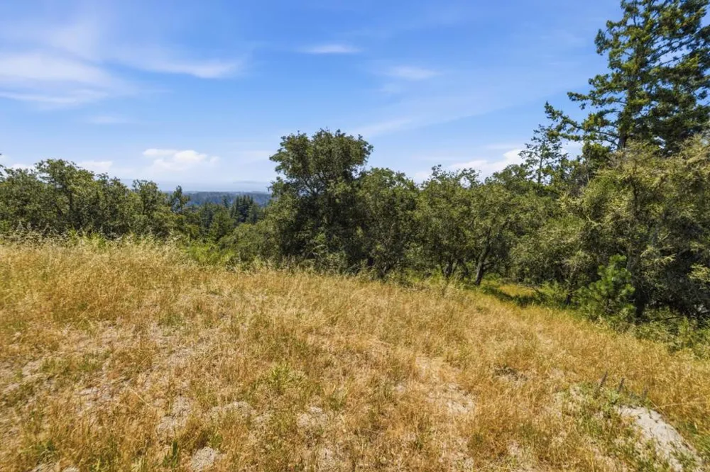 Chelsey Place Scotts Valley, CA 95066