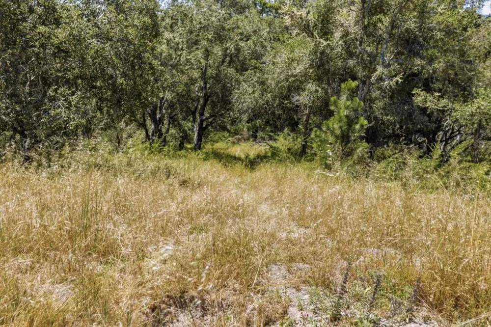 Chelsey Place Scotts Valley, CA 95066