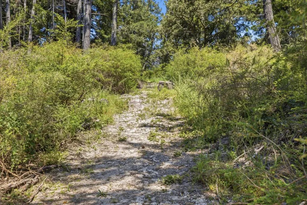 Chelsey Place Scotts Valley, CA 95066