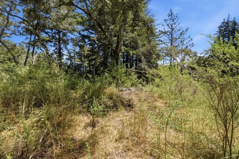 Chelsey Place Scotts Valley, CA 95066