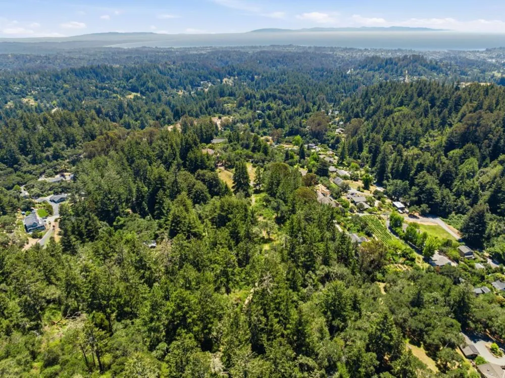 Chelsey Place Scotts Valley, CA 95066