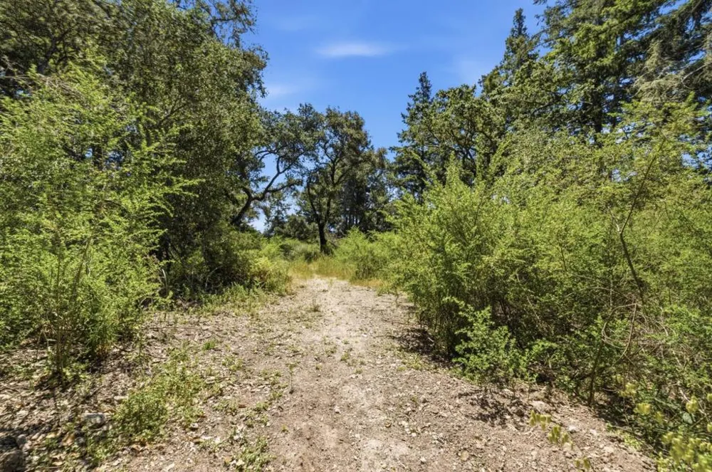 Chelsey Place Scotts Valley, CA 95066
