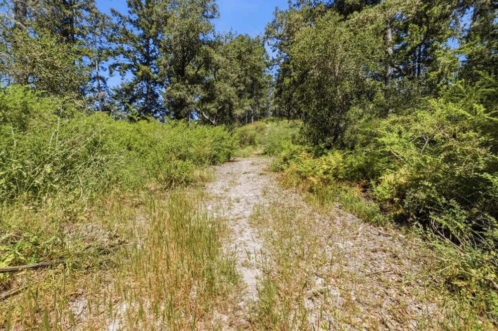 Chelsey Place Scotts Valley, CA 95066
