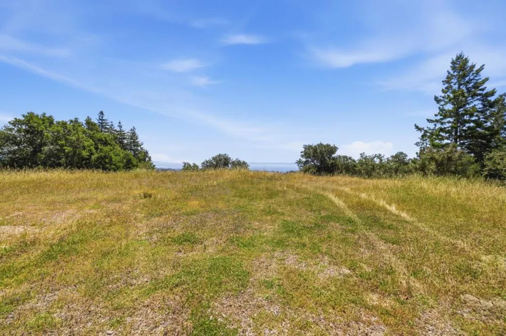 Chelsey Place Scotts Valley, CA 95066
