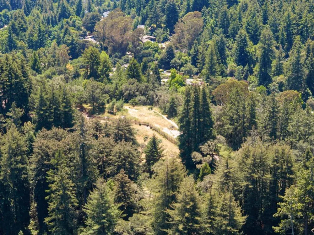 Chelsey Place Scotts Valley, CA 95066