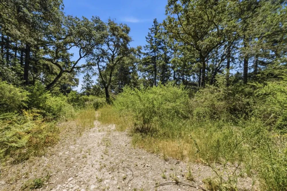 Chelsey Place Scotts Valley, CA 95066