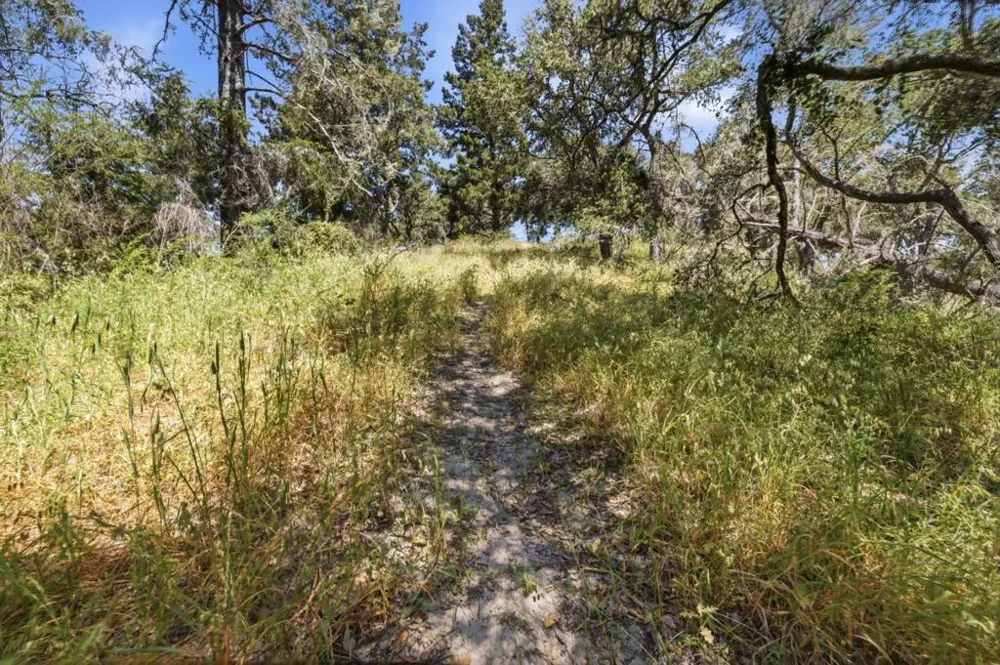 Chelsey Place Scotts Valley, CA 95066