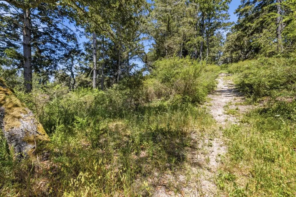 Chelsey Place Scotts Valley, CA 95066