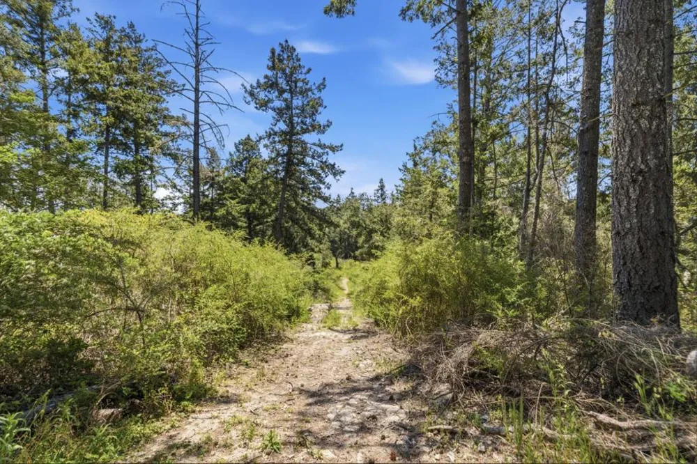 Chelsey Place Scotts Valley, CA 95066