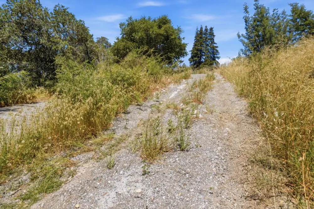 Chelsey Place Scotts Valley, CA 95066
