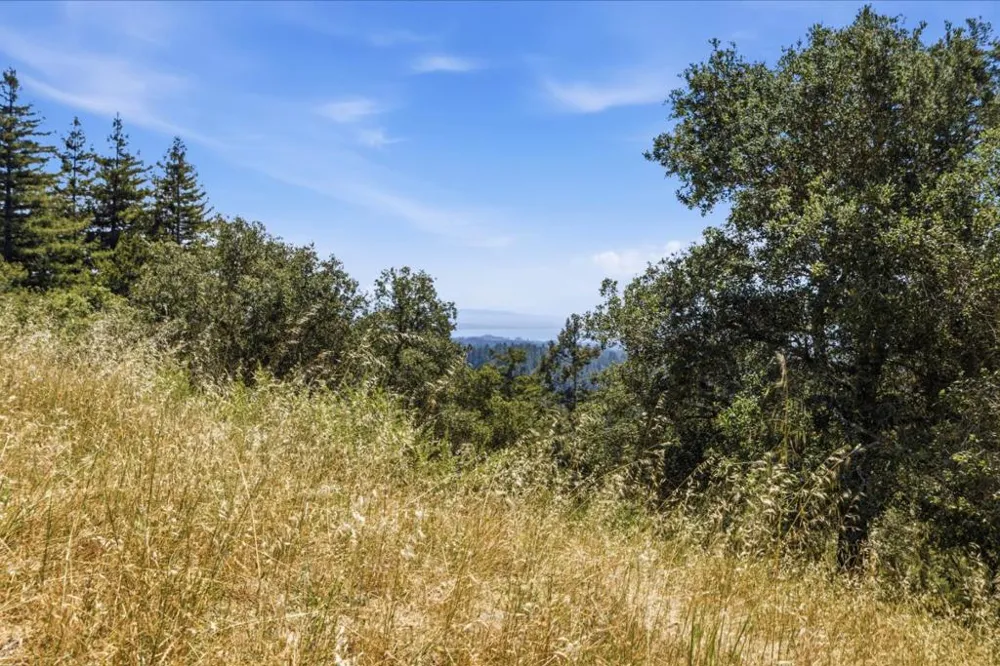 Chelsey Place Scotts Valley, CA 95066