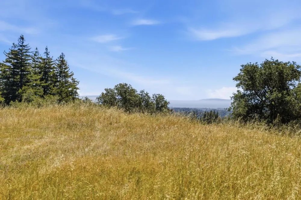 Chelsey Place Scotts Valley, CA 95066