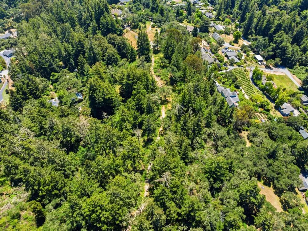 Chelsey Place Scotts Valley, CA 95066