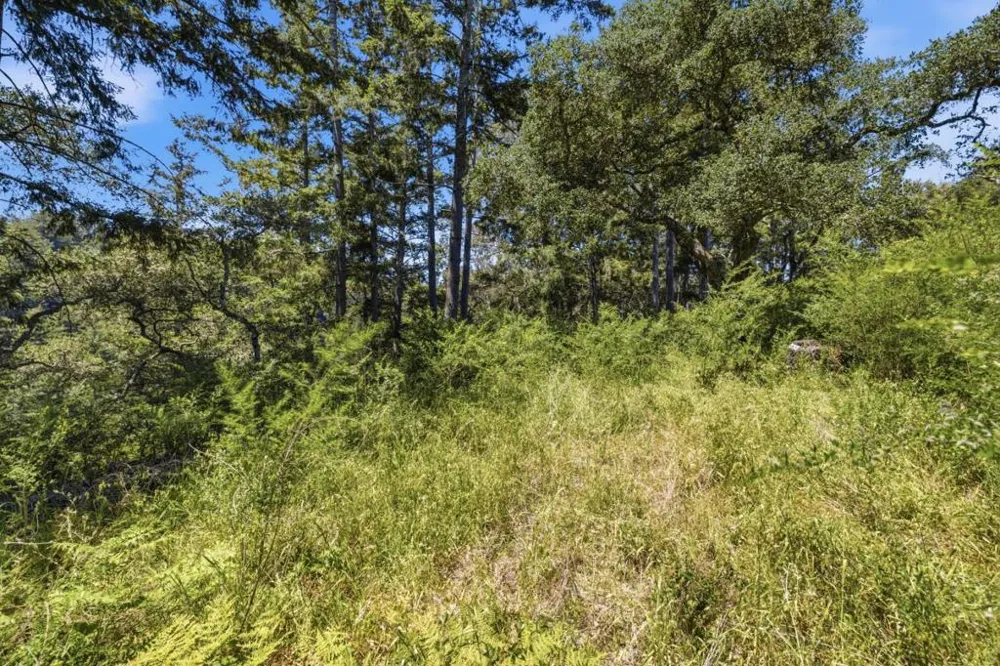 Chelsey Place Scotts Valley, CA 95066