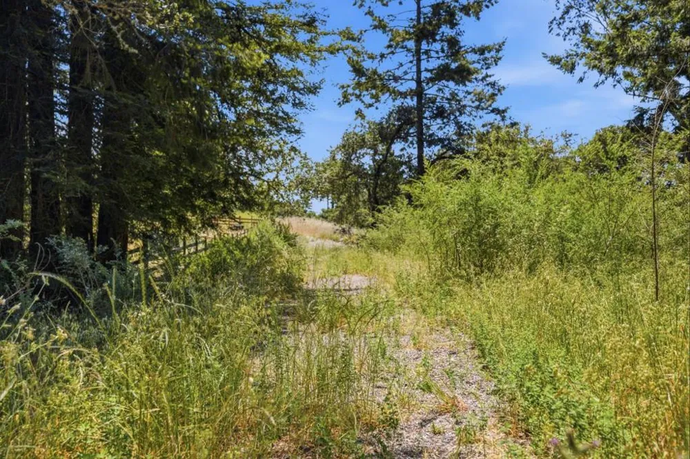 Chelsey Place Scotts Valley, CA 95066