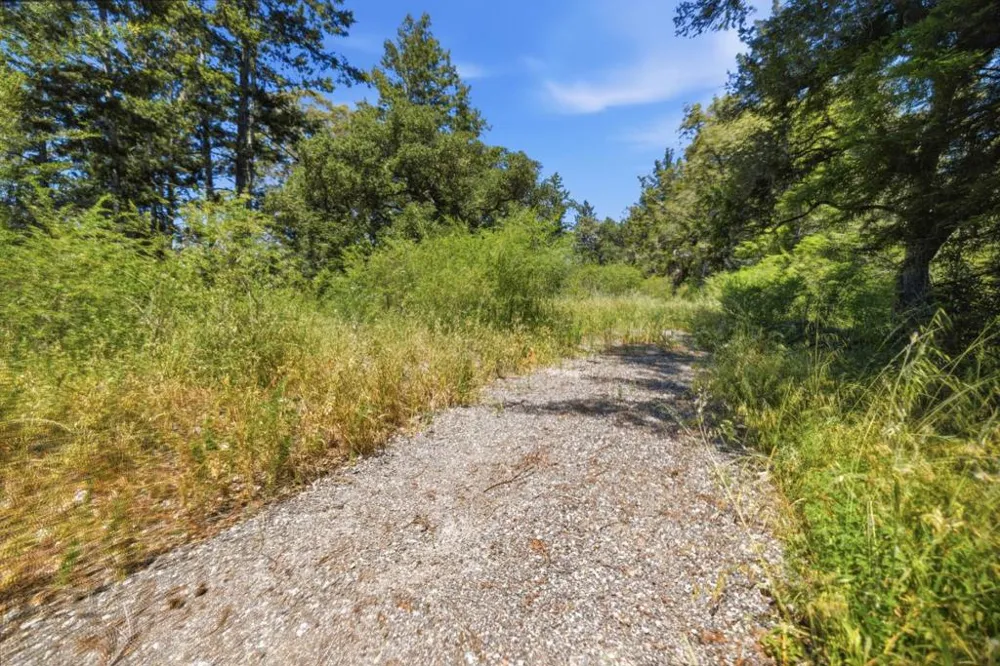 Chelsey Place Scotts Valley, CA 95066