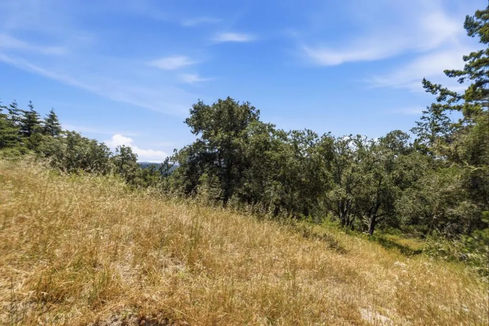 Chelsey Place Scotts Valley, CA 95066