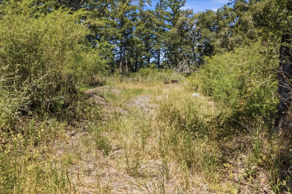 Chelsey Place Scotts Valley, CA 95066
