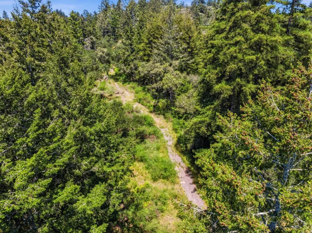 Chelsey Place Scotts Valley, CA 95066