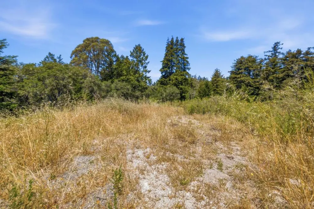 Chelsey Place Scotts Valley, CA 95066