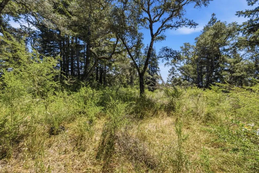 Chelsey Place Scotts Valley, CA 95066