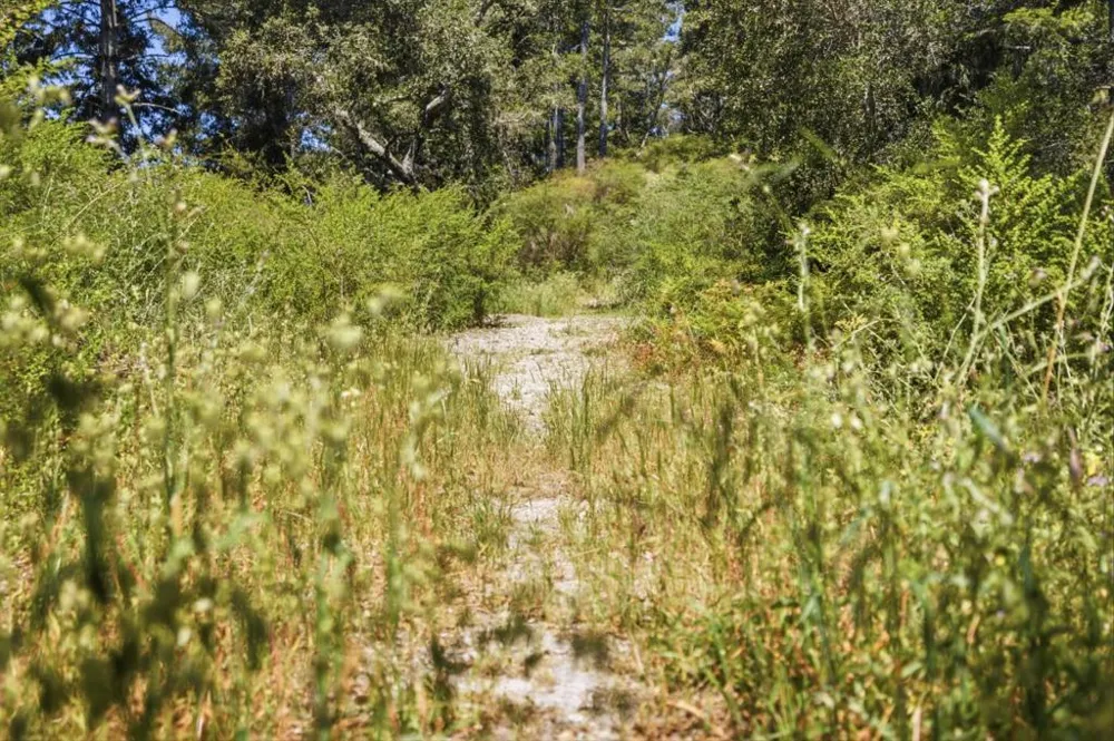 Chelsey Place Scotts Valley, CA 95066