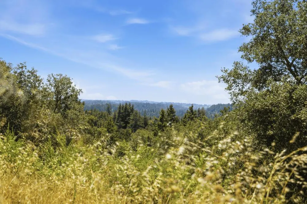 Chelsey Place Scotts Valley, CA 95066