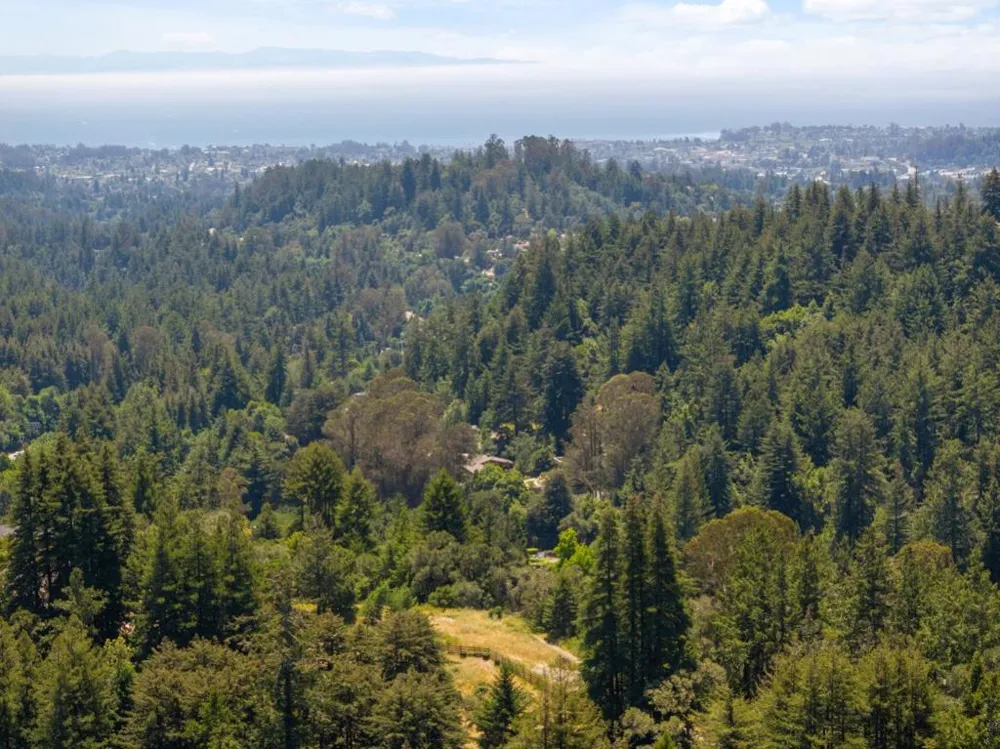 Chelsey Place Scotts Valley, CA 95066