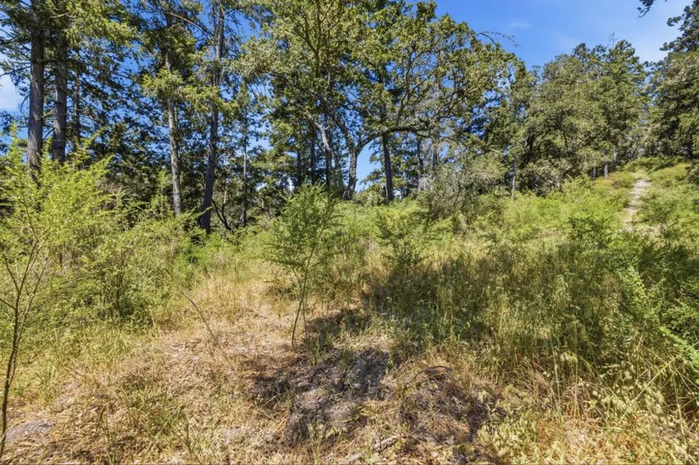 Chelsey Place Scotts Valley, CA 95066