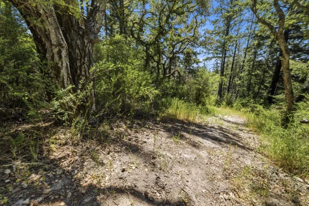 Chelsey Place Scotts Valley, CA 95066