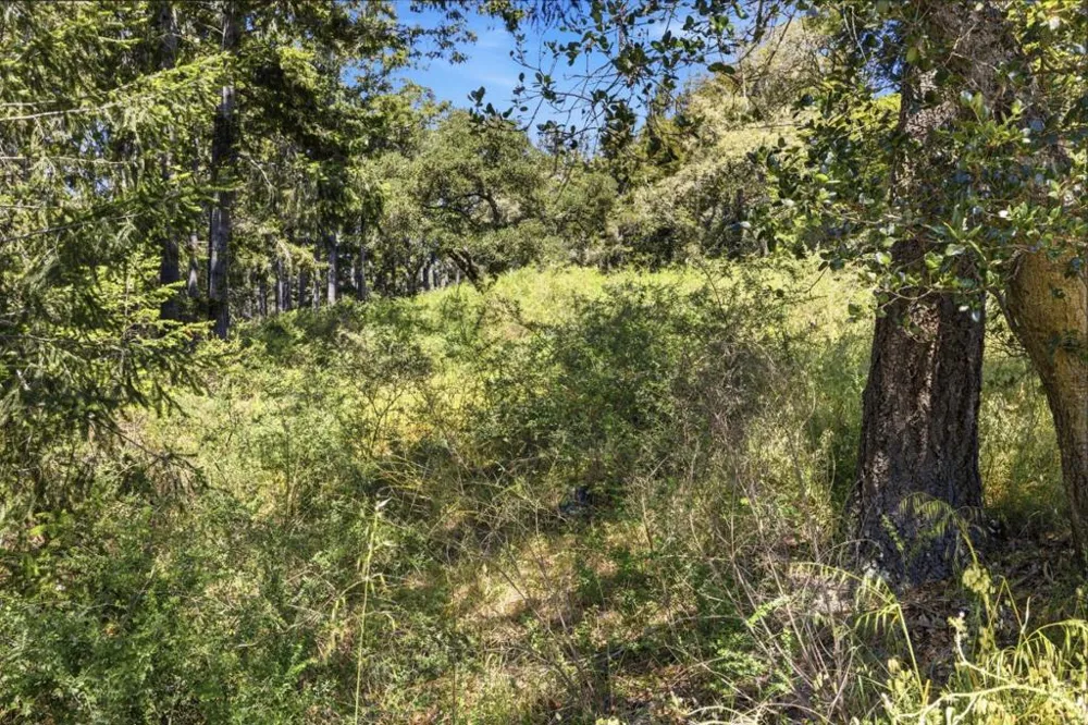 Chelsey Place Scotts Valley, CA 95066