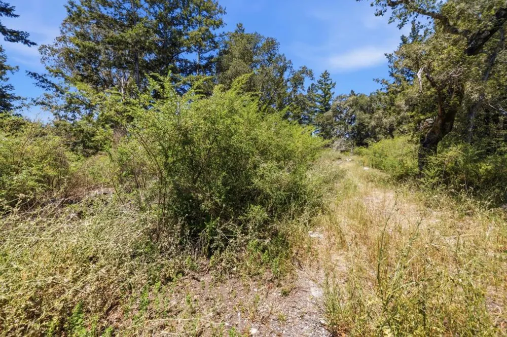 Chelsey Place Scotts Valley, CA 95066