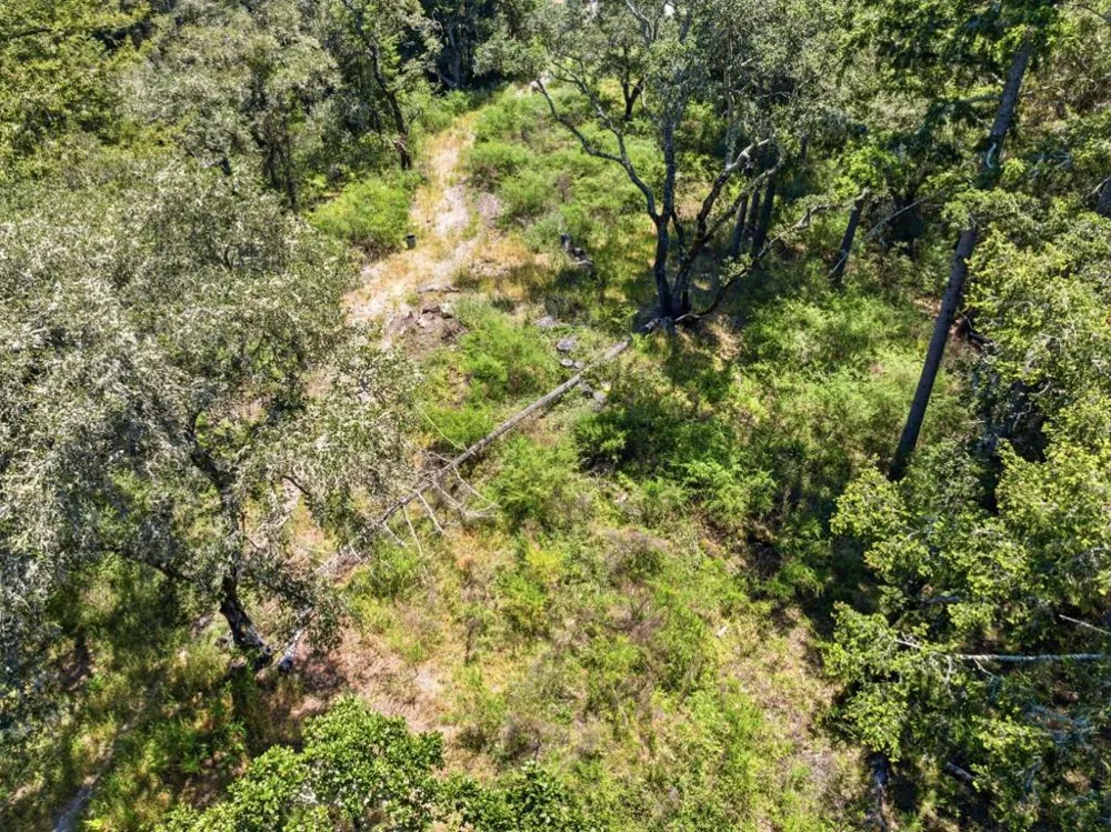 Chelsey Place Scotts Valley, CA 95066