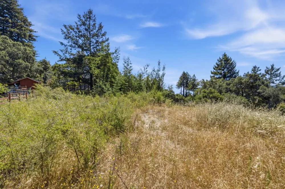 Chelsey Place Scotts Valley, CA 95066