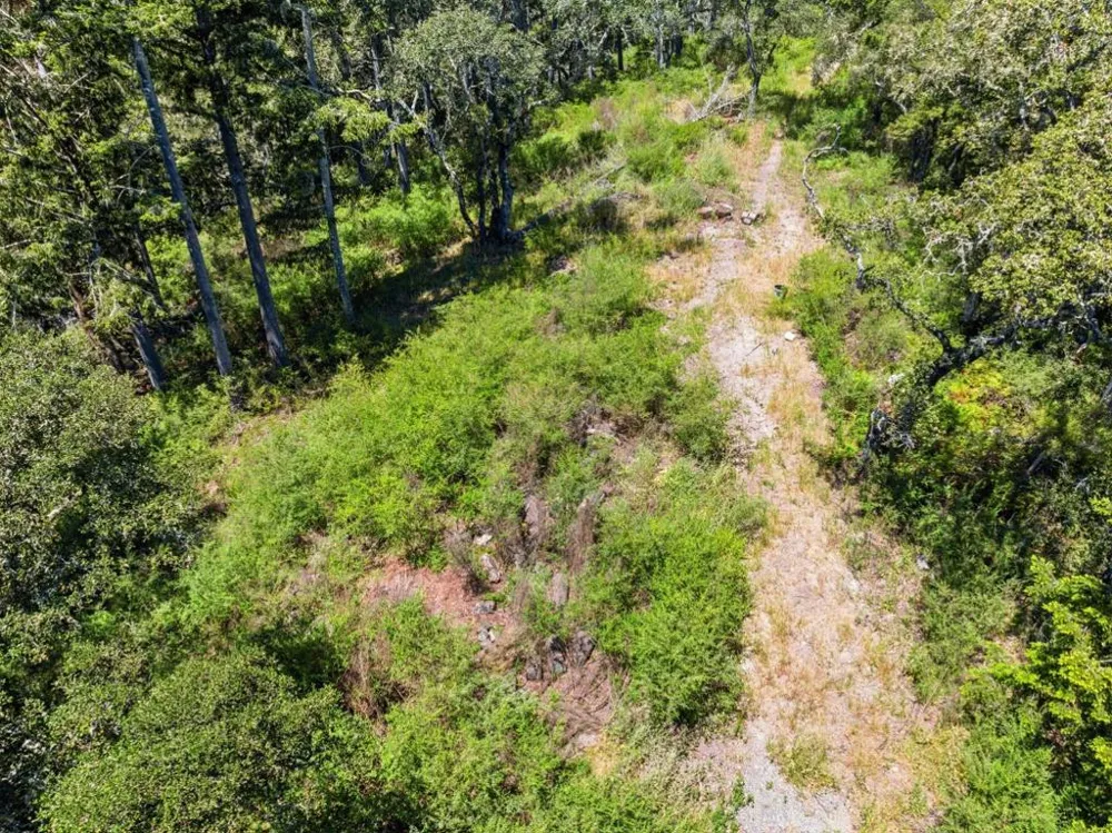 Chelsey Place Scotts Valley, CA 95066