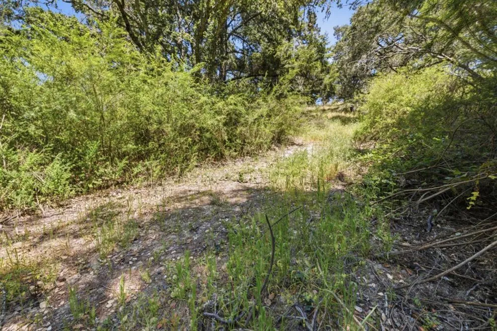 Chelsey Place Scotts Valley, CA 95066