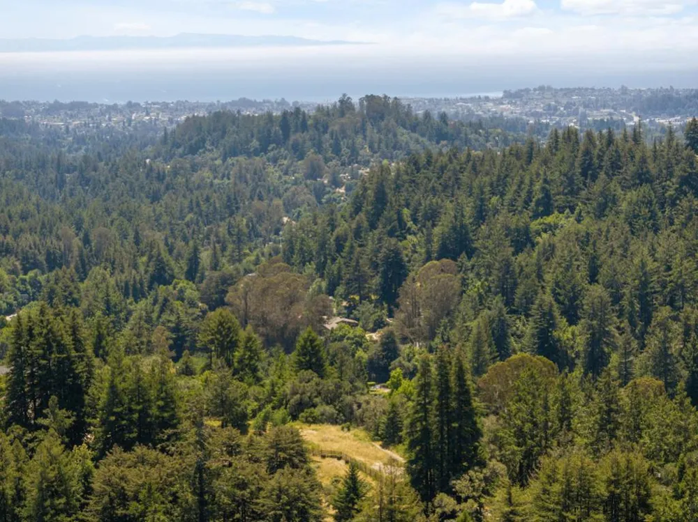 Chelsey Place Scotts Valley, CA 95066