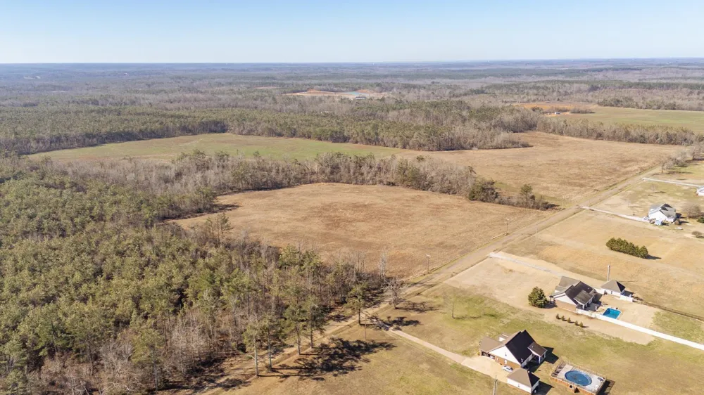 1 DR WILLIAMS RD Michie, TN 38357